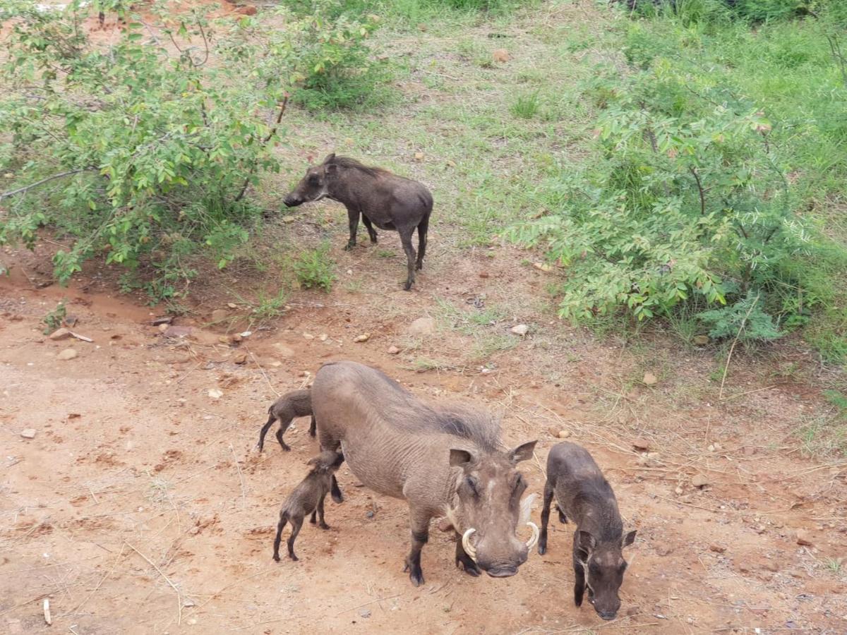 636 Itaga Safari Lodge, Mabalingwe Nature Reserve Mabula Game Reserve Eksteriør bilde