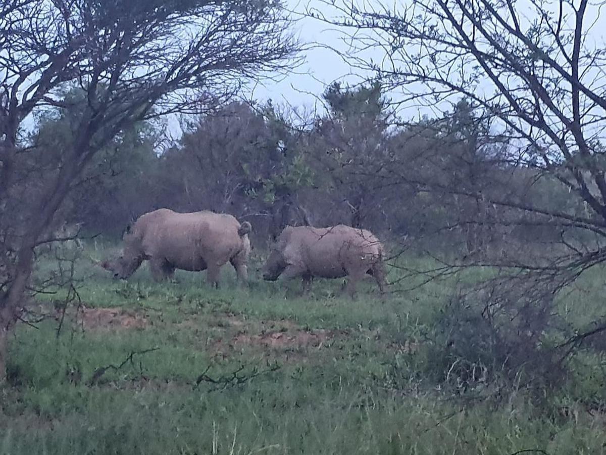 636 Itaga Safari Lodge, Mabalingwe Nature Reserve Mabula Game Reserve Eksteriør bilde